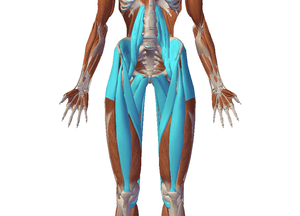 How to Fix a Hip Flexor Strain